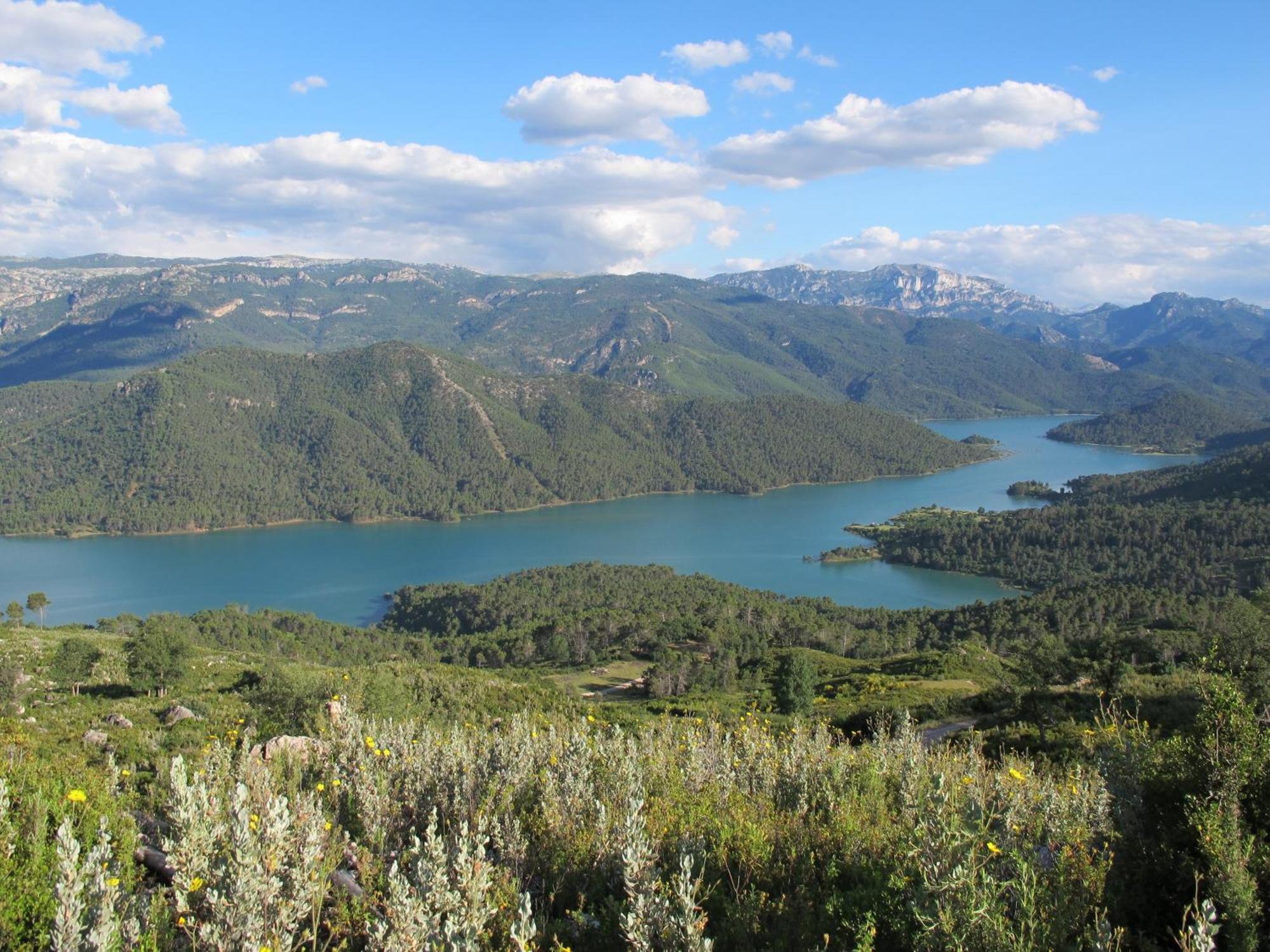 Camping Rural Llanos De Arance Coto Rios Eksteriør billede